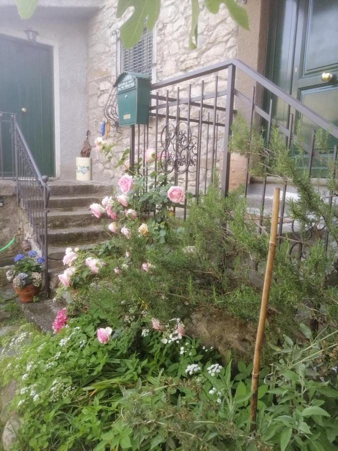 Frühstückspension Alle Ortensie Blu Sesta Godano
