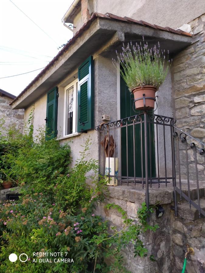 Bed & Breakfast Alle Ortensie Blu *