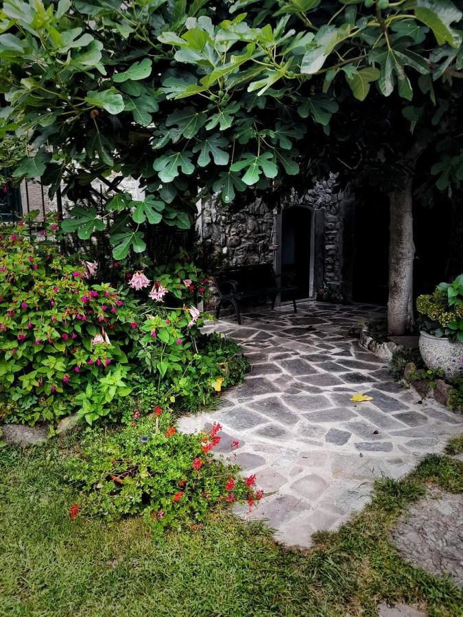 Alle Ortensie Blu Bed & Breakfast *