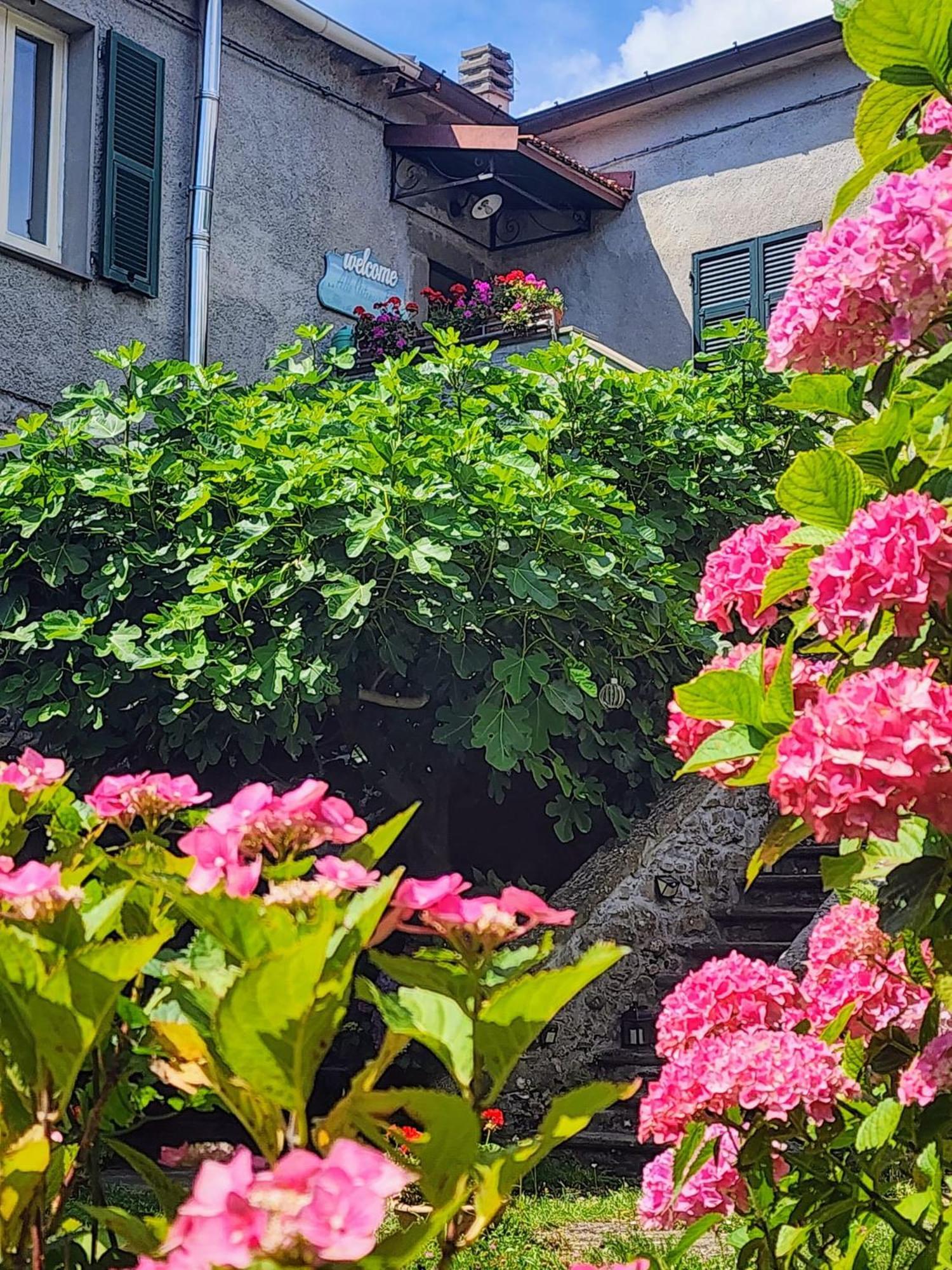 Alle Ortensie Blu Bed & Breakfast