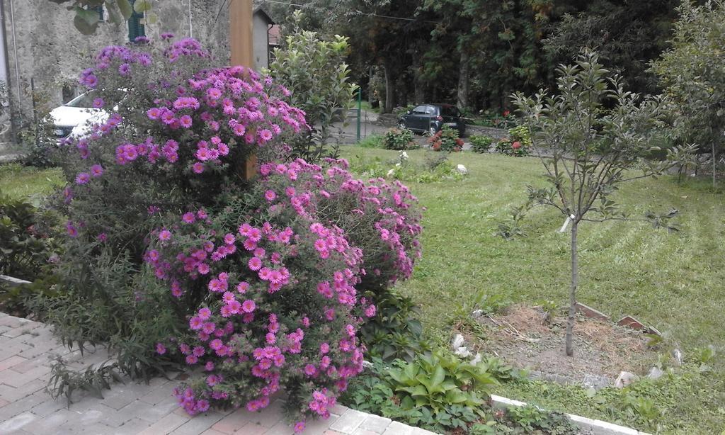 Bed & Breakfast Alle Ortensie Blu *