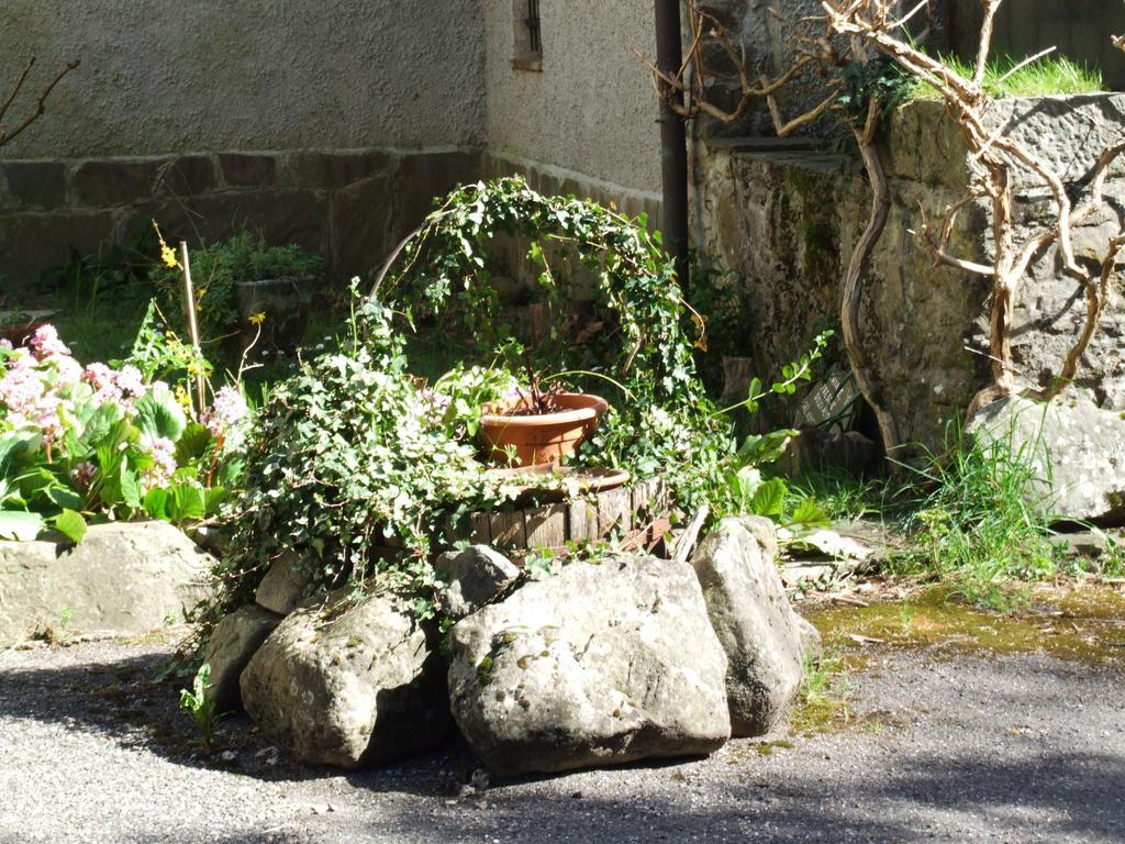 Alle Ortensie Blu Bed & Breakfast *