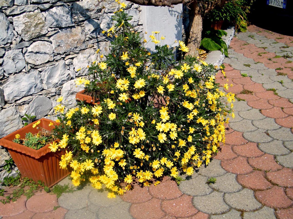 Bed & Breakfast Alle Ortensie Blu Sesta Godano