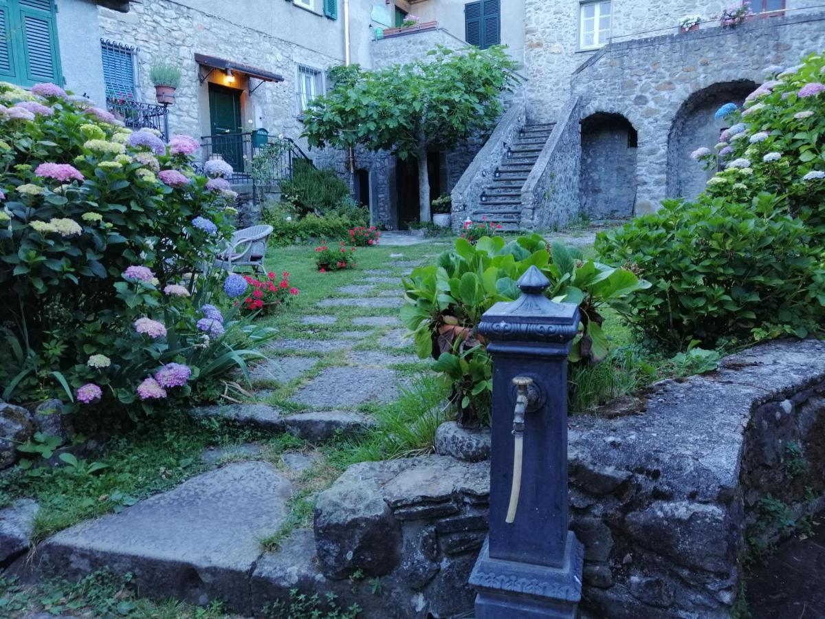 Alle Ortensie Blu Sesta Godano