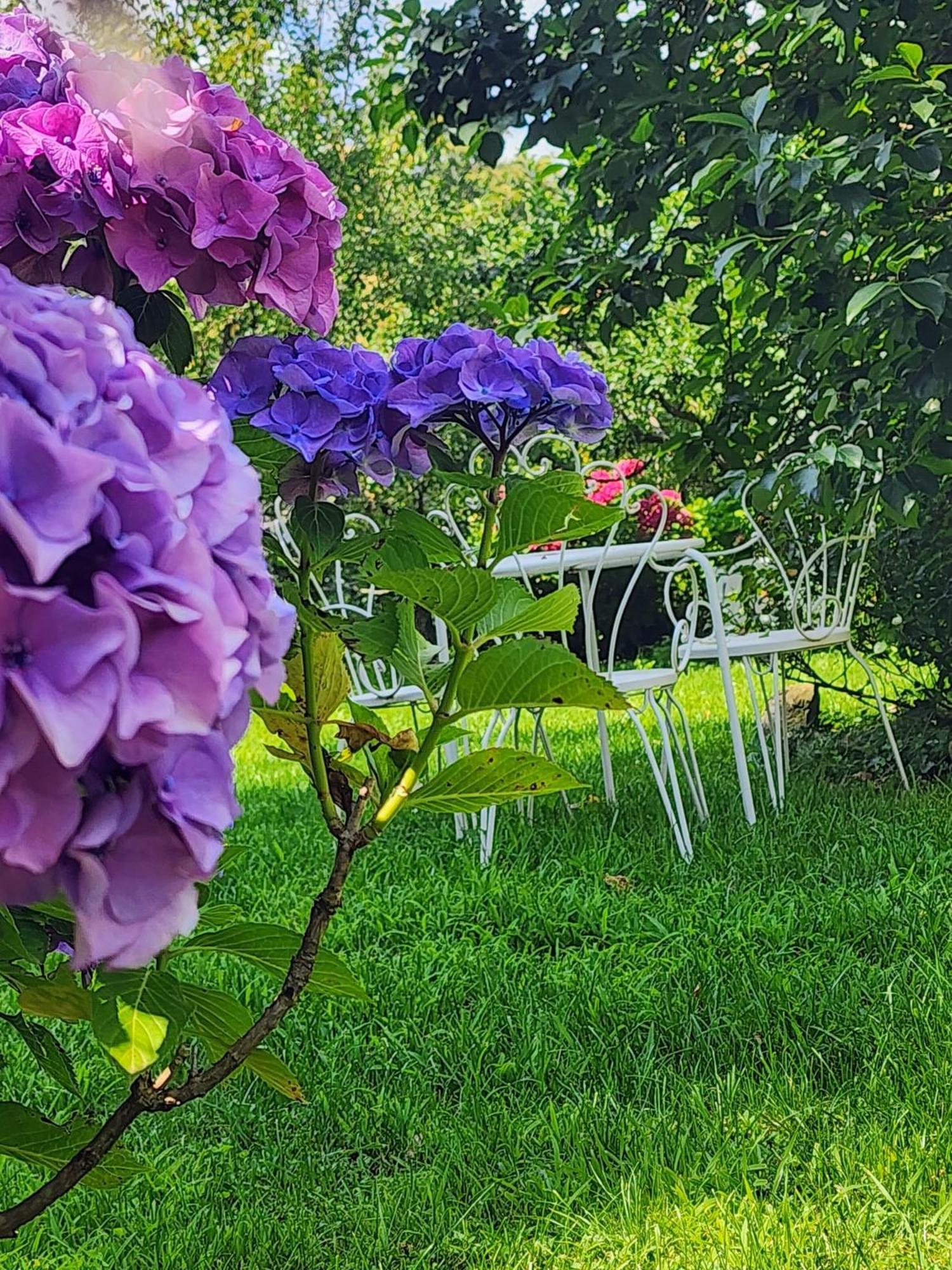 Alle Ortensie Blu Bed & Breakfast Sesta Godano