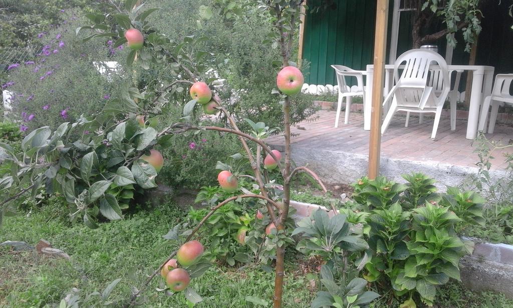 Alle Ortensie Blu Bed & Breakfast